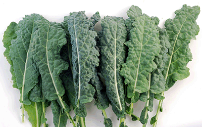 Kale - The Wonder Veggie!